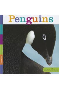 Penguins