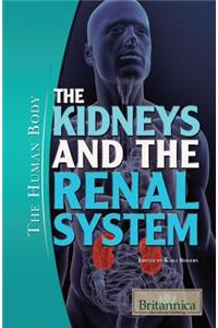 The Kidneys and the Renal System