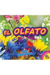 El Olfato