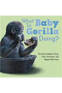 What Is Baby Gorilla Doing?