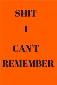 Shit I Can't Remember