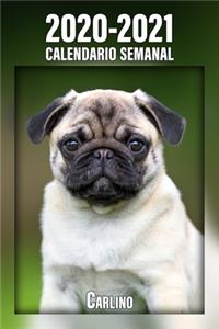 2020-2021 Calendario Semanal Carlino