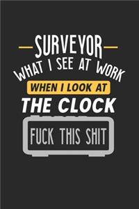 Surveyor What I See At Work