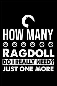 How Many Ragdoll Do I Really Need? Just One More