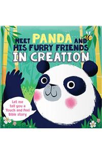 Meet Panda and His Furry Friends in Creation