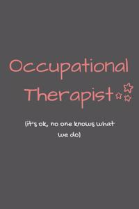 Occupational Therapist (it's ok, no one knows what we do): Funny Gift for Occupational Therapists Notebook / Journal (Lined - 6" x 9" - 120 pages)