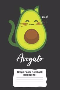 Avogato Graph Paper Notebook