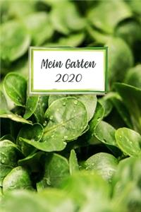 Mein Garten 2020