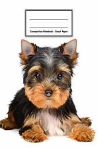 Composition Notebook - Graph Paper