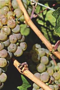 Grapes Notebook
