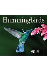Hummingbirds 2018