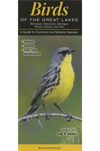 Birds of the Great Lakes: Il, In, Mi, MN, Oh, Wi