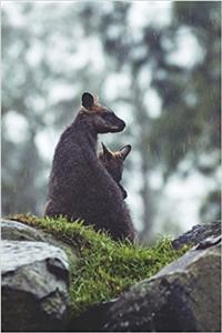 A Kangaroo and her Baby Roo on A Rocky Pasture Journal