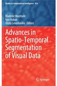Advances in Spatio-Temporal Segmentation of Visual Data