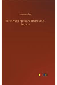 Freshwater Sponges, Hydroids & Polyzoa