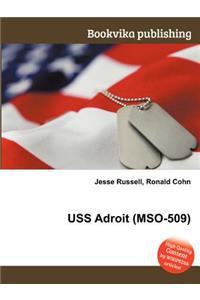 USS Adroit (Mso-509)