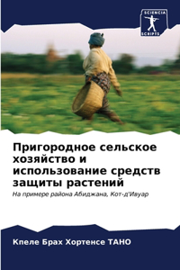 Пригородное сельское хозяйство и исполь