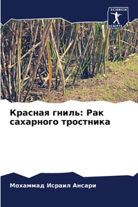 Красная гниль