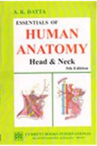 Essentials of Human Anatomy - Head and Neck