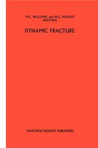 Dynamic Fracture