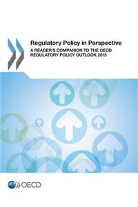 Regulatory Policy in Perspective