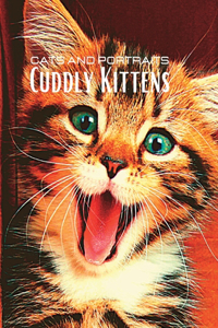 CATS and PORTRAITS - Cuddly Kittens