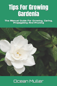 Tips For Growing Gardenia