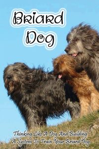 Briard Dog