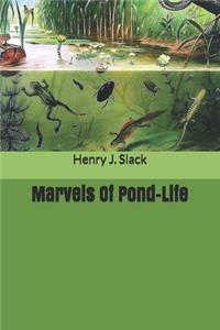 Marvels Of Pond-Life