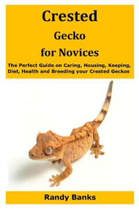 Crested Gecko for Novices