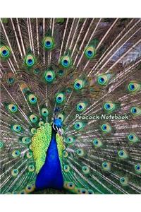 Peacock Notebook