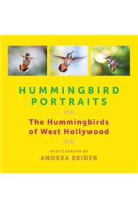 Hummingbird Portraits