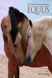 Equus