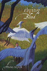 Flying Blind