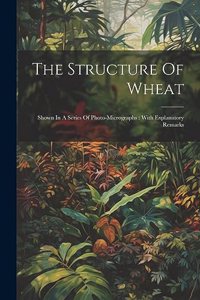 Structure Of Wheat