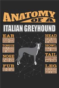 Anatomy Of A Italian Greyhound: Anatomy Of A Italian Greyhound Notebook Journal 6x9 Personalized Customized Gift For Italian Greyhound Mom Dad Lined Paper