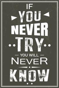 If You Never Try You Will Never Know