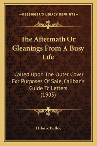 The Aftermath Or Gleanings From A Busy Life