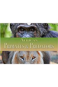African Primates and Predators 2017