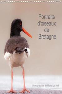 Portraits D'oiseaux De Bretagne 2018