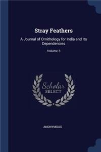 Stray Feathers