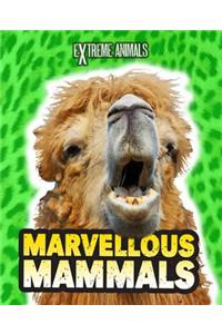 Marvellous Mammals