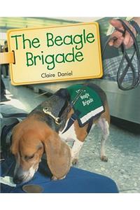 Beagle Brigade