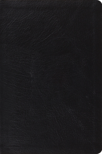ESV Large Print Thinline Reference Bible
