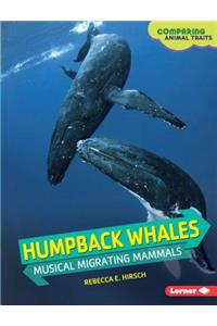 Humpback Whales