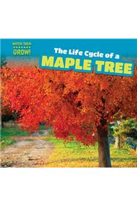 The Life Cycle of a Maple Tree