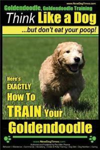 Goldendoodle, Goldendoodle Training - Think Like a Dog But Don't Eat Your Poop!