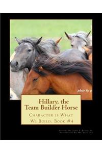 Hillary the Team Builder Horse