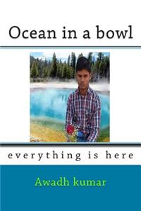 Ocean in a bowl
