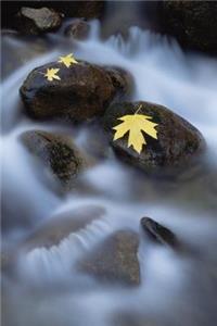 Autumn's Footprints Journal